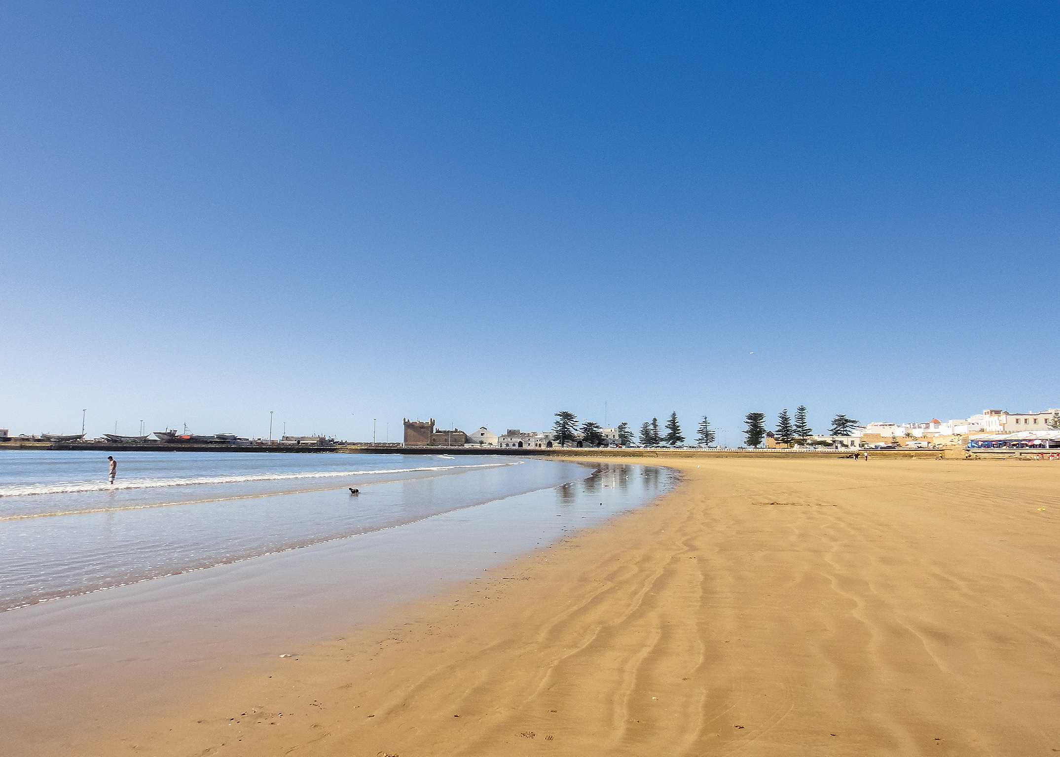 Plage en péril: Essaouira menacée par les mafias du sable