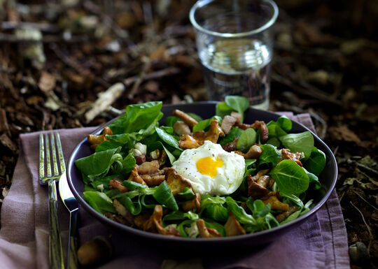 Recette salade forestiere aux epinards girolles lardons et oeuf poche