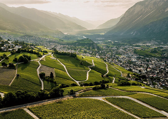 Idees balades vignes marche cepages sierre valais