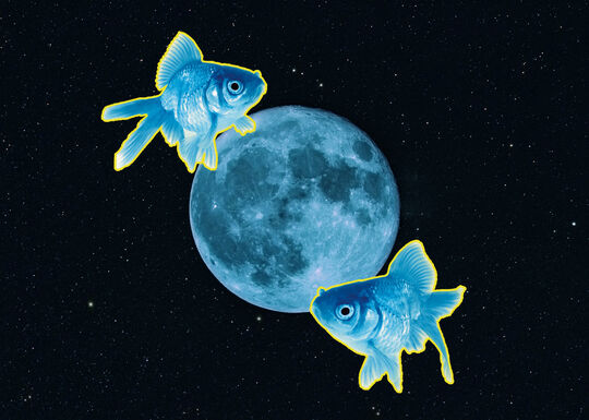 Energie pleine lune poissons equinoxe