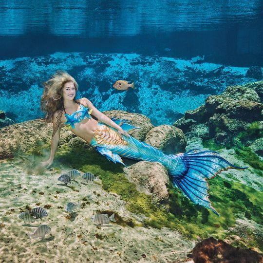 https://www.femina.ch/assets/imager/migration/main/14826/62f30a1c3a_mermaid-sirene-floride.jpg